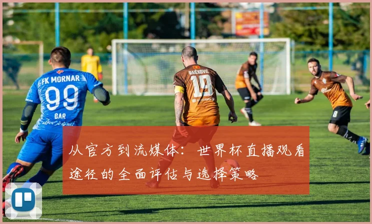 从官方到流媒体:世界杯直播观看途径的全面评估与选择策略
