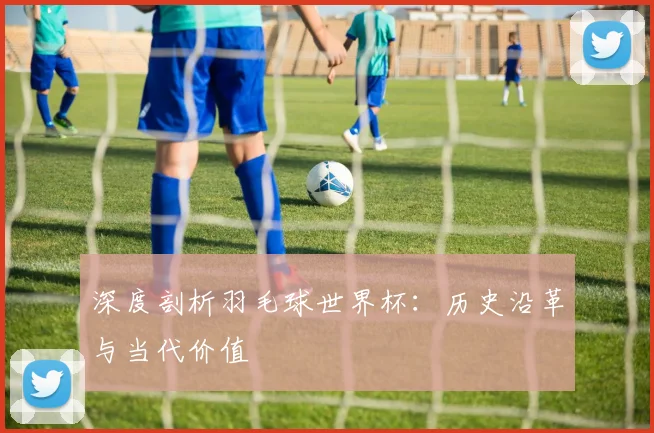 深度剖析羽毛球世界杯：历史沿革与当代价值