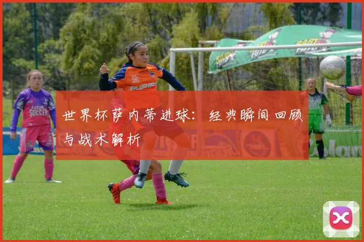 世界杯萨内蒂进球:经典瞬间回顾与战术解析