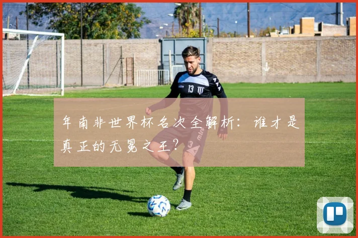 年南非世界杯名次全解析：谁才是真正的无冕之王？
