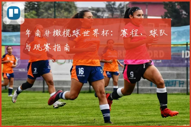 年南非橄榄球世界杯：赛程、球队与观赛指南