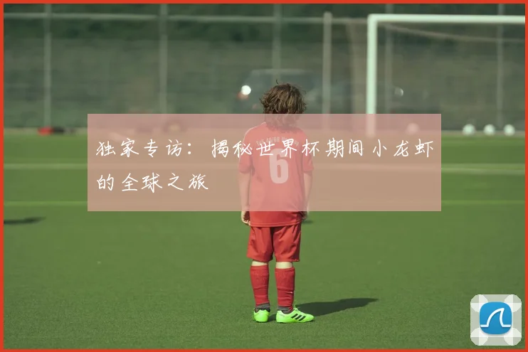 独家专访：揭秘世界杯期间小龙虾的全球之旅