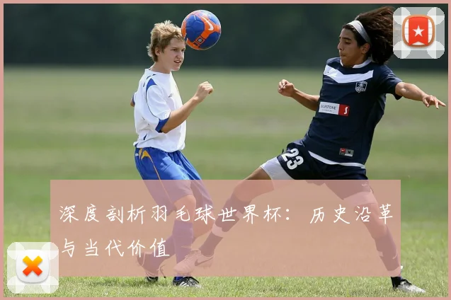 深度剖析羽毛球世界杯:历史沿革与当代价值