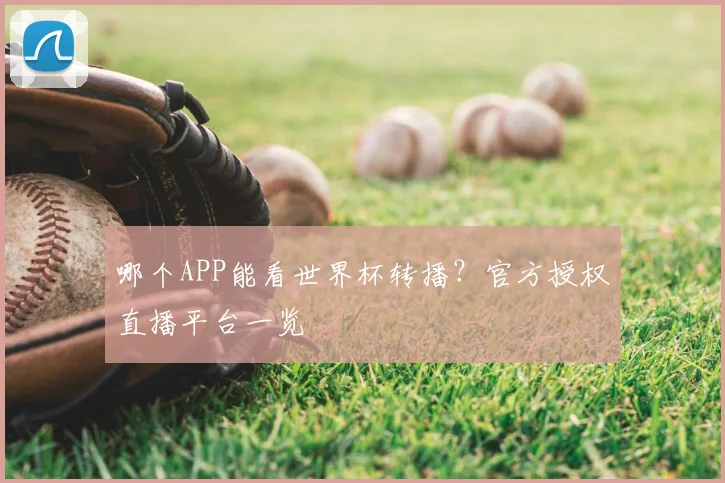 哪个APP能看世界杯转播?官方授权直播平台一览