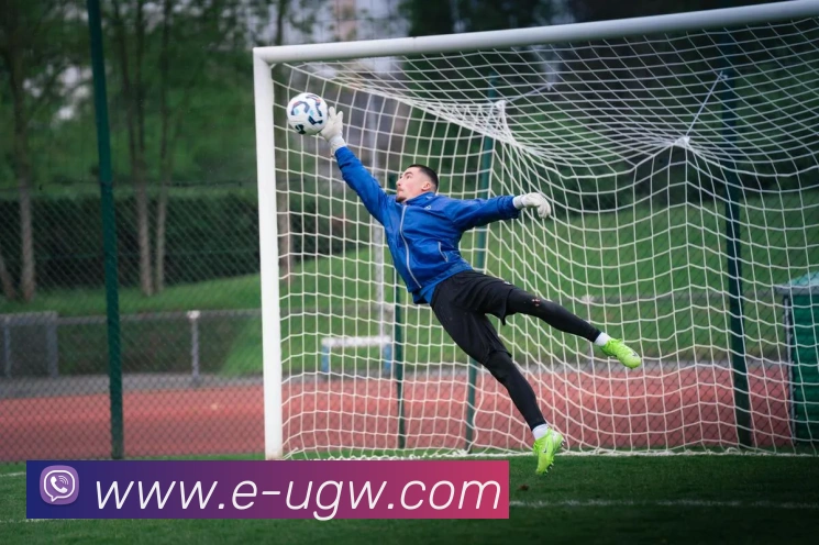 必动体育官网APP 封面图